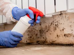 Environmental Consulting for Mold Prevention in Groesbeck, OH